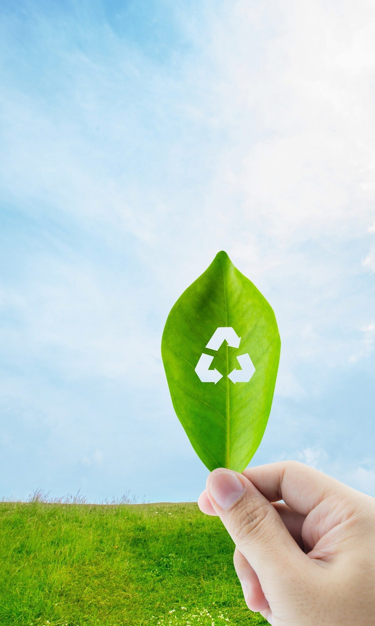 Circular Economy Process in London Circular economy process for used cooking oil recycling in London